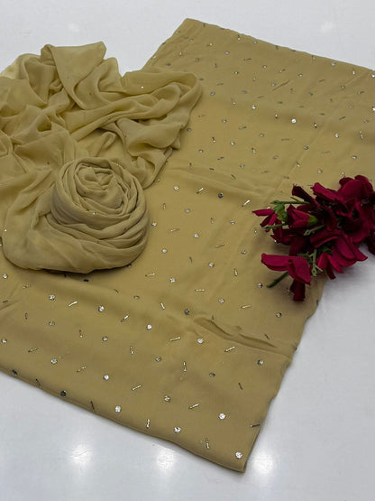 Premium shiffon Mukaish work 2Pcs dress